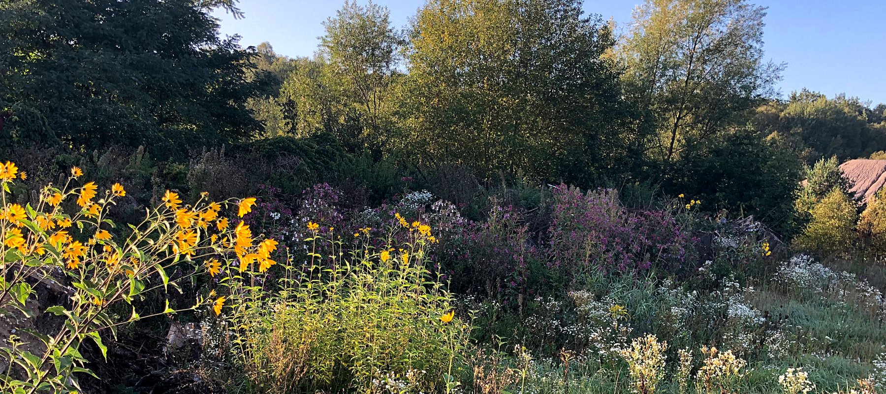 erutec GmbH - Wir rekultivieren.